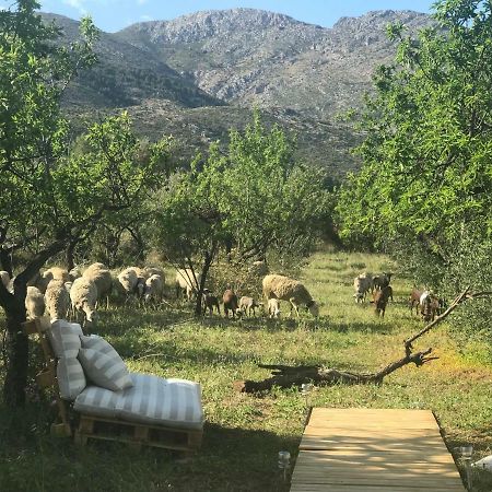 הוילה Orba Casa La Plana מראה חיצוני תמונה